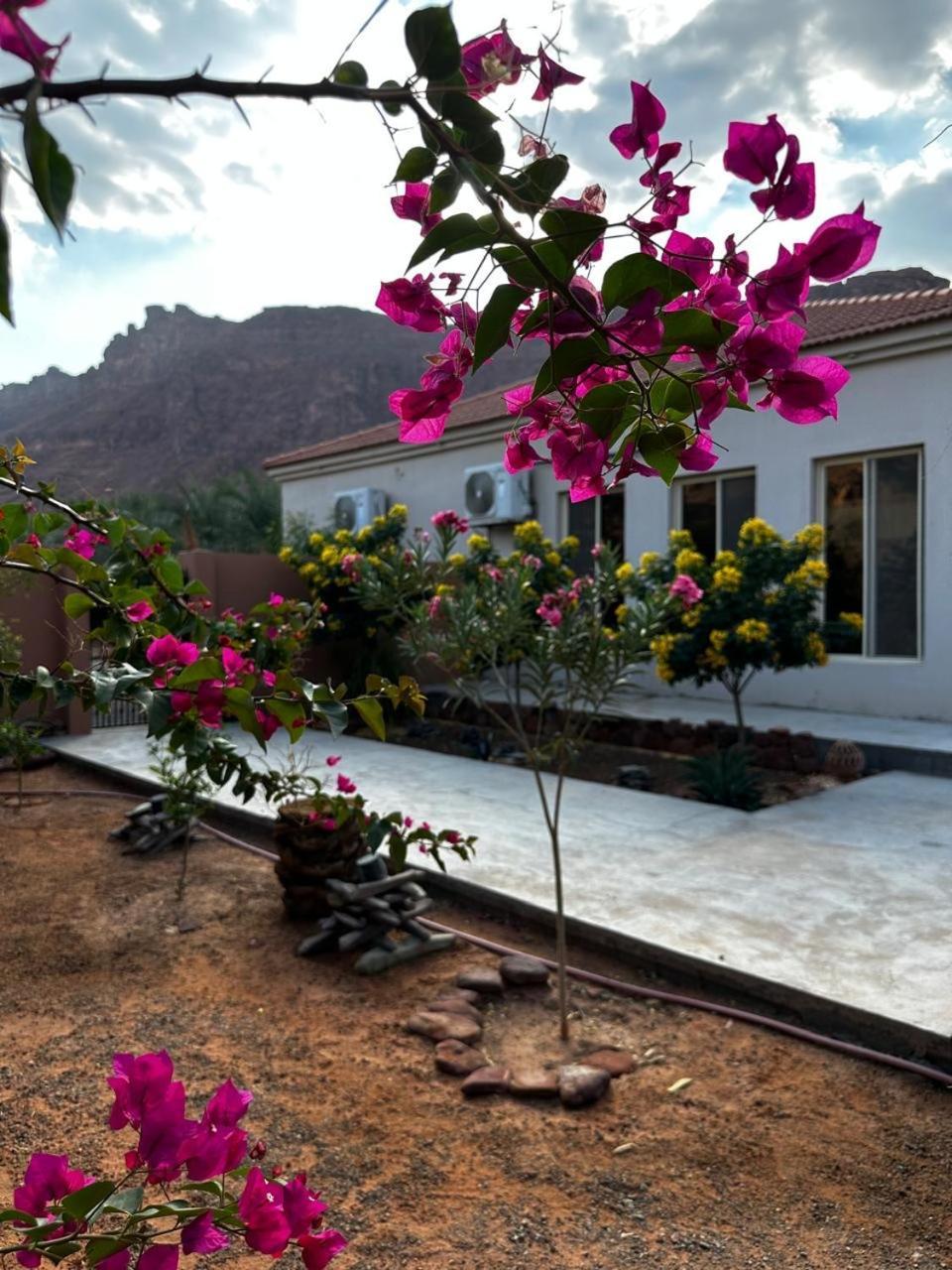 فيلا بمزرعة อาลูลา ภายนอก รูปภาพ